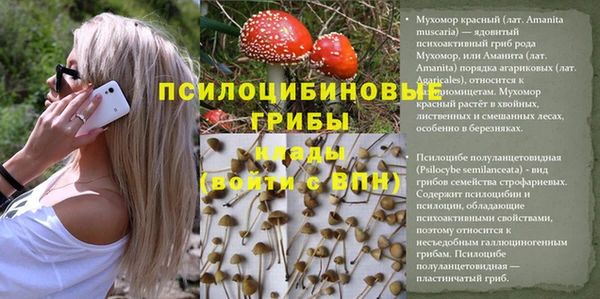 скорость Алзамай