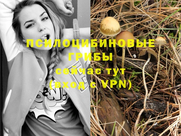 ALPHA PVP Алексеевка