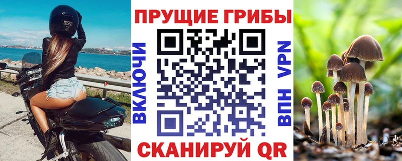 Галлюциногенные грибы GOLDEN TEACHER Дегтярск